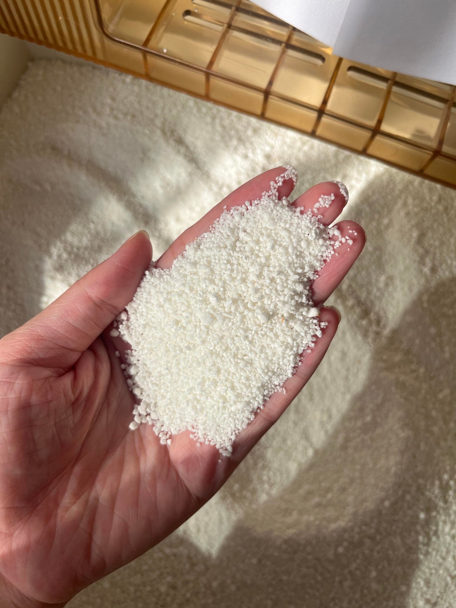 Cassava cat litter granules in hand close up by YoVia Pet Products