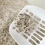 Mixed cat litter clump on scoop with deodorizing beads by YoVia Pet Products