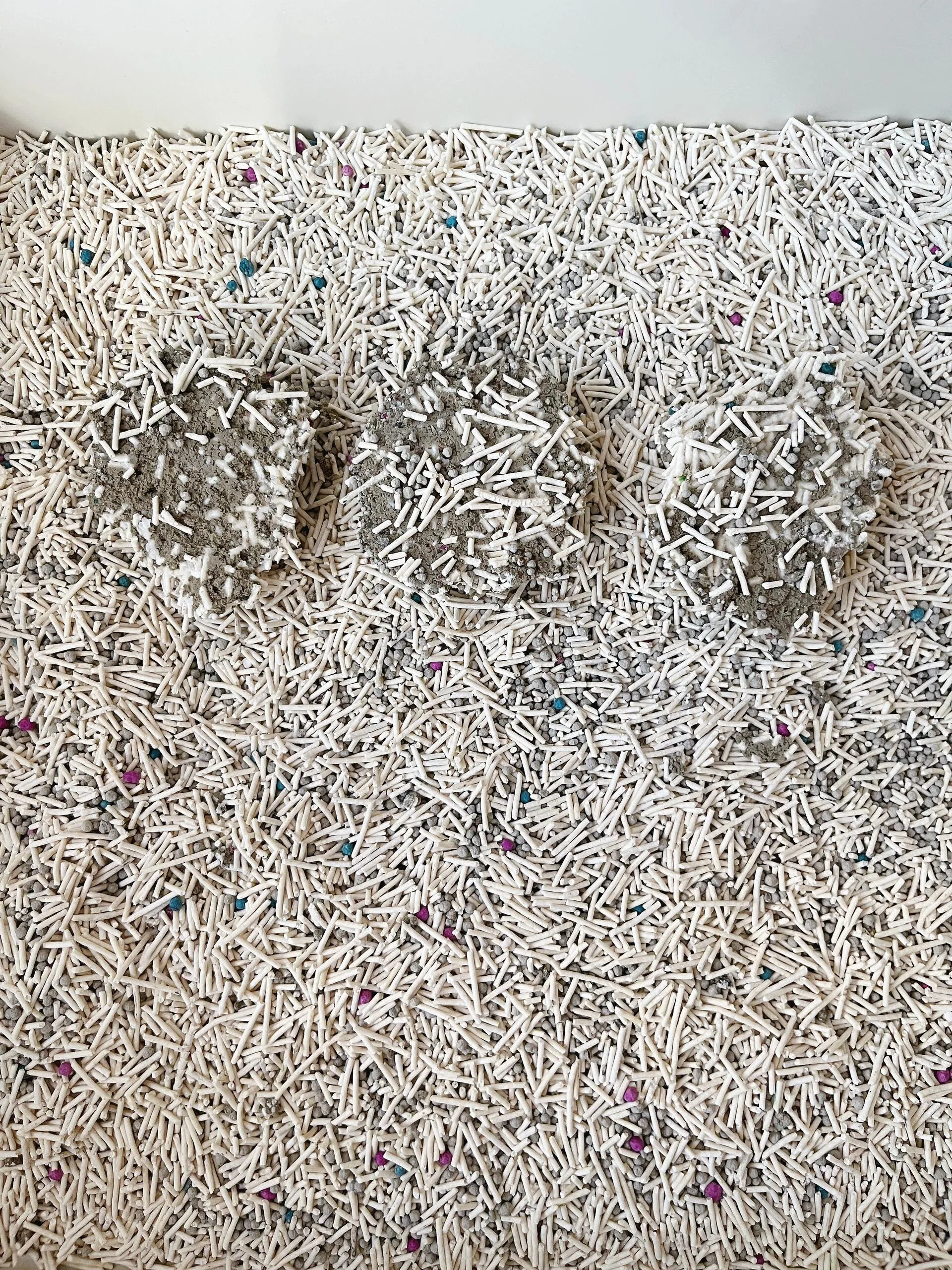 Mixed tofu and bentonite cat litter texture top view