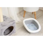 Silica gel cat litter in white litter box indoor scene by YoVia Pet Products