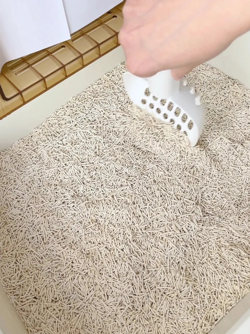 How to use tofu cat litter - fill tray and scoop daily